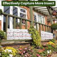 Qualirey Giant Sticky Fly Traps,30 Feet Fly Strips for Indoor Outdoor Hanging Flying Tapes Non Toxic Ribbon Fruit Gnat Killer for Mosquito Plants House Horse Stable (White,10 Pcs)
