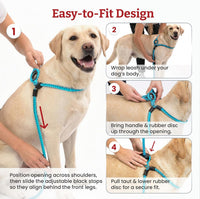 Harness Lead Escape Resistant, Reduces Pull Dog Harness - Blue/Multi / Medium/Large (40-120 lbs) - image 3