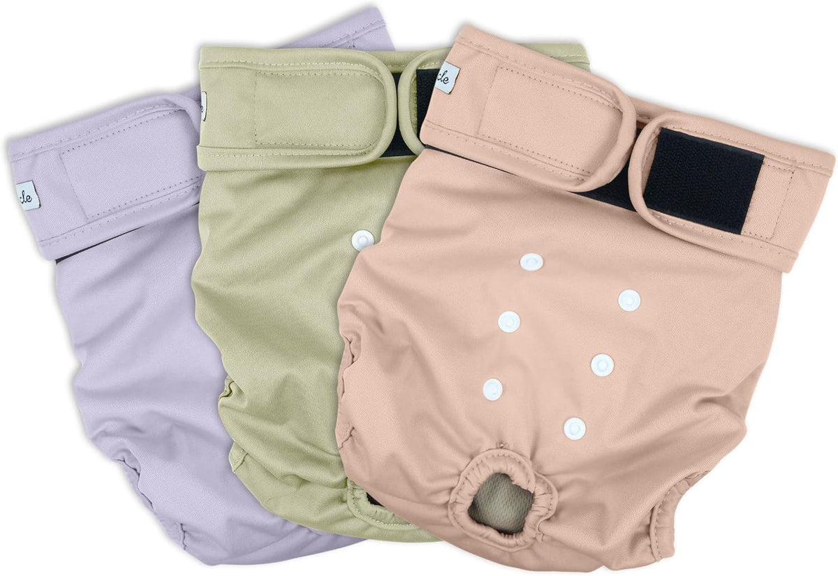 Washable Female Dog Diapers - Medium (12"-15"Waist） / Morandi-2 - image 2