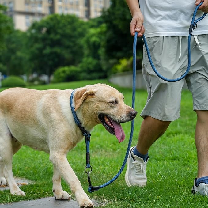 Rope Dog Leash, 6 Foot Heavy Duty Dog Leash with Aviation Aluminum Auto Locking Carabiner, Strong Nylon Pet Lead for Small, Medium, Large Dogs (Rose Red, 6FT)