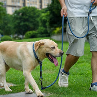 Rope Dog Leash, 6 Foot Heavy Duty Dog Leash with Aviation Aluminum Auto Locking Carabiner, Strong Nylon Pet Lead for Small, Medium, Large Dogs (Blue, 6FT)