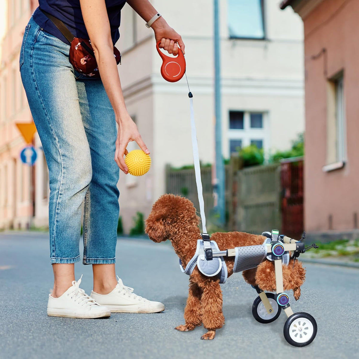 Dog Wheelchair for Back Legs, Adjustable Mobility Cart for Dog – Essentials for Dogs - White XS for 11-17.6lb - image 3