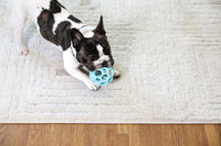 JW Pet HOL-ee Roller Dog Puzzle Ball, Large 5.5in - Blue / Small - image 2