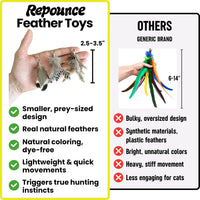 Forever Stick Refill 9-Pack, Feather Cat Wand Toy Attachment – Essentials for Cats - Feather Toys Refill 9-Pack - image 4