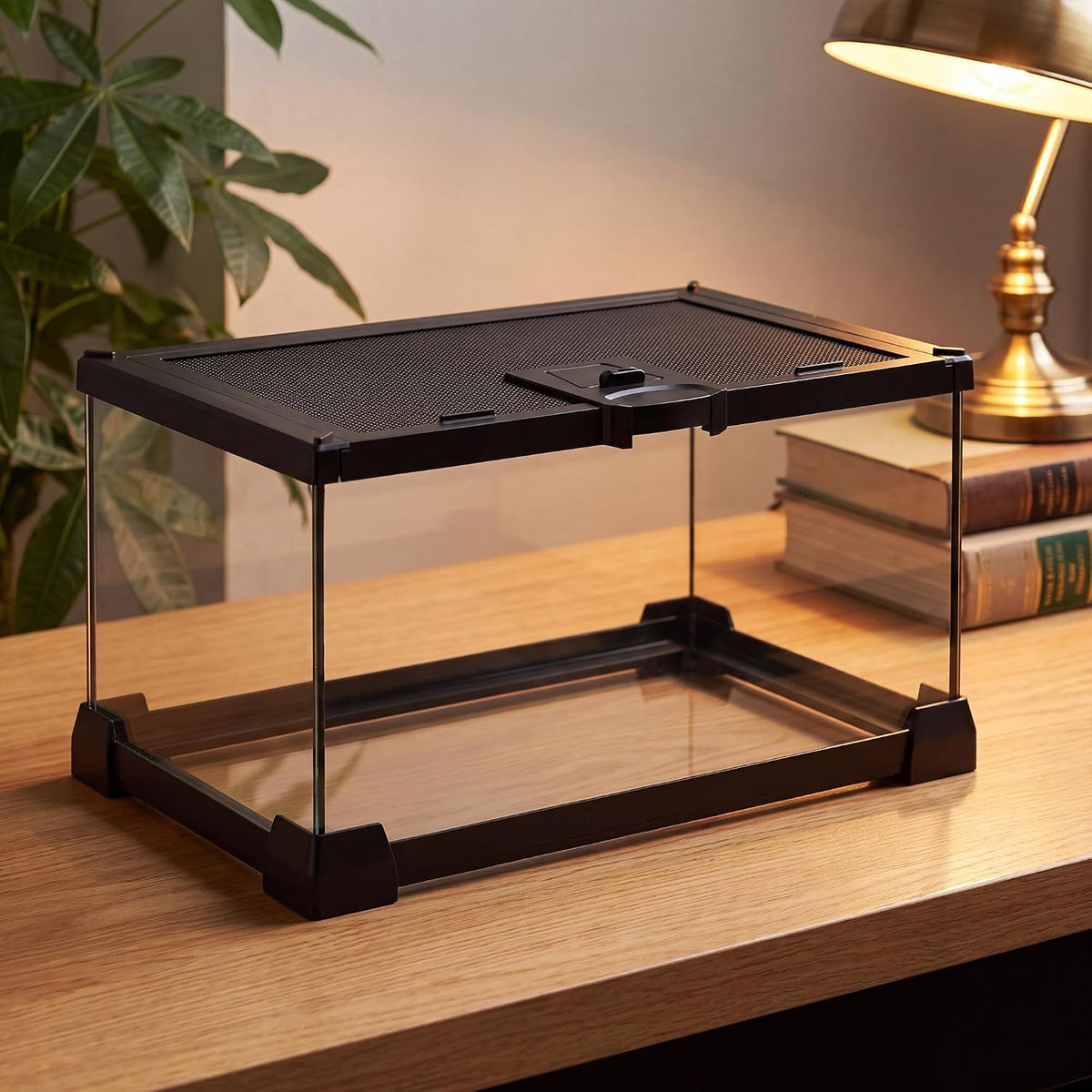 Folding Reptile Travel Terrarium Tank 17" × 12" × 10" – Essentials for Reptiles And Amphibians - 12" x 8" x 6"