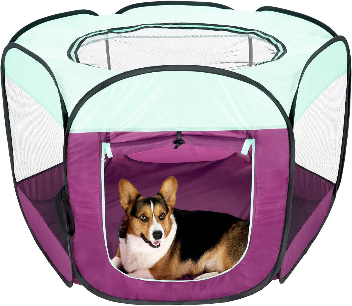 FurHaven Soft-Sided Dog & Cat Playpen - Purple / Large