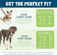 2 Hounds Design Freedom No Pull Dog Harness and Leash, 1" LG - Navy / SM (Chest 20" - 24") - image 4