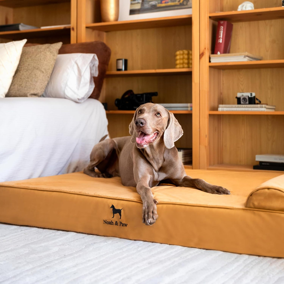 Large Dog Bed Orthopedic Memory Foam Cooling Gel 35x25x8.7 in – Essentials for Dogs - Camel - LE / XX-Large - image 2