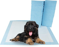 BV Puppy Pads Leak-Proof 100 Count 22"x 22" - 50 Count (Standard)