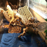 Reptile Hammock, Large Lizard Lounger - 【▲+■+▄+Purple】 - image 4