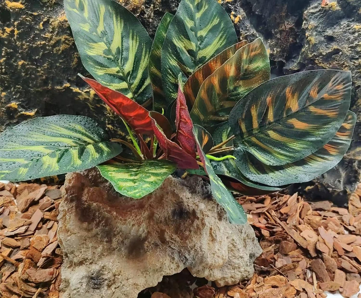 FLmoving artificial reptile plant for terrarium with heavy resin base - view 4