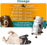1TDC WorksSoWell Dual Action Joint Supplement for Dogs & Cats - Hip and Joint Supplement for Large Breed & Small Breed - Also Great for Oral Health - Muscle & Stamina Recovery & Arthritis - 60ct