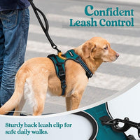 rabbitgoo Dog Harness No Pull with 2 Leash Clips, Adjustable Soft Padded, Reflective Oxford No Choke Pet Vest with Easy Control Handle for Large Dogs, Blue Coral, XL