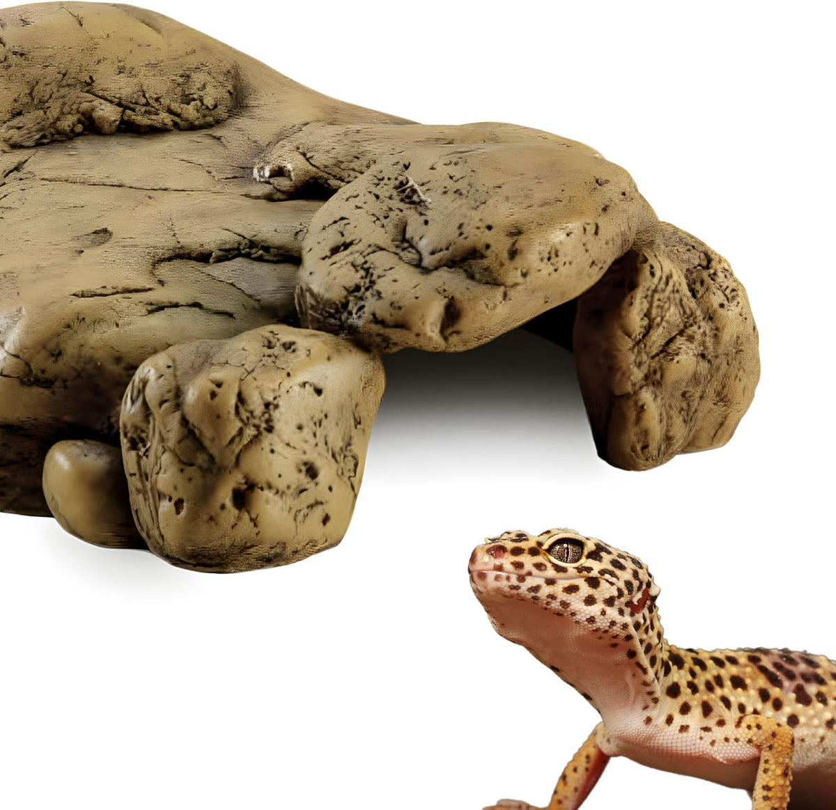 Exo Terra Reptile Den Extra Large – Essentials for Reptiles And Amphibians - 1 Count (Pack of 1) - image 2