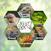 Reptile Decor 3PCS Natural Forest Branch Terrarium Habitat Decoration - L: 8PCS (12.9IN) - image 3