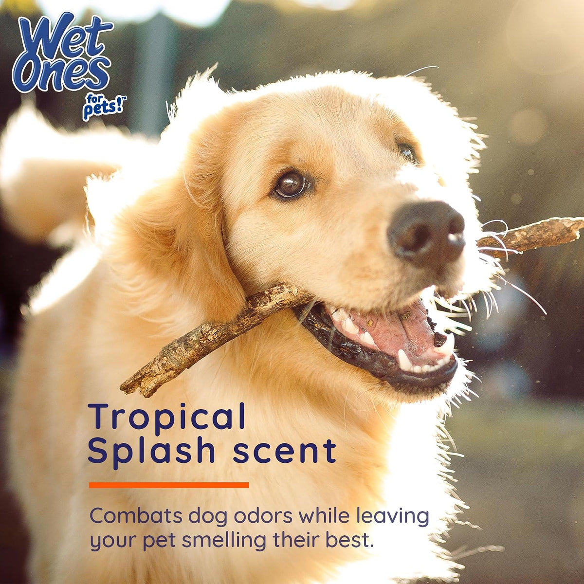 Wet Ones for Pets Antibacterial Dog Wipes - Tropical Splash / 10 Count (Pack of 3) - image 3