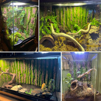 Reptile Terrarium Cork Background - [2 PCS] - image 3
