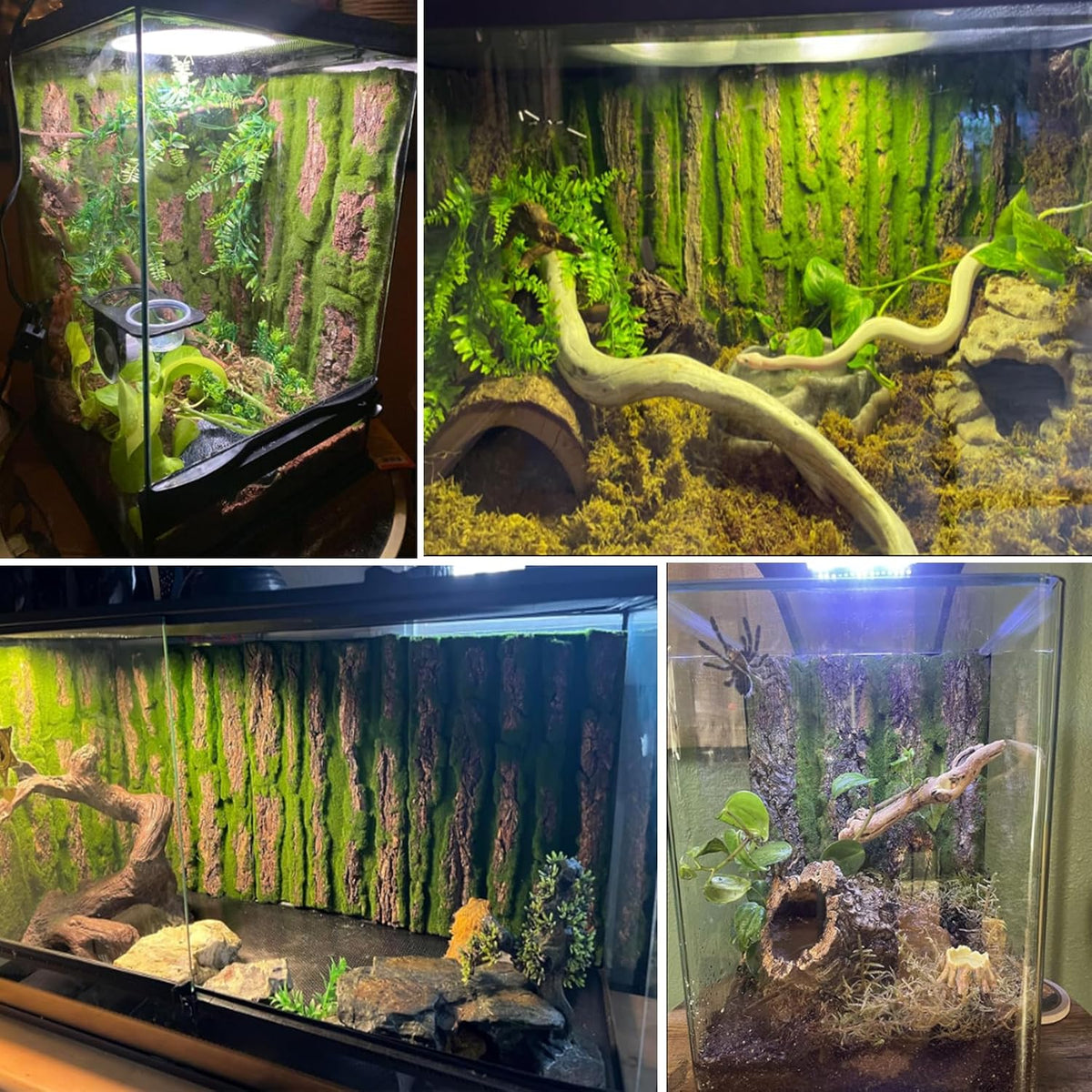 Reptile Terrarium Cork Background - [2 PCS] - image 3