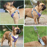 Dog Harness with Leash Set, No Pull Adjustable Step in Pet Vest – Essentials for Dogs - Purple / L - image 3