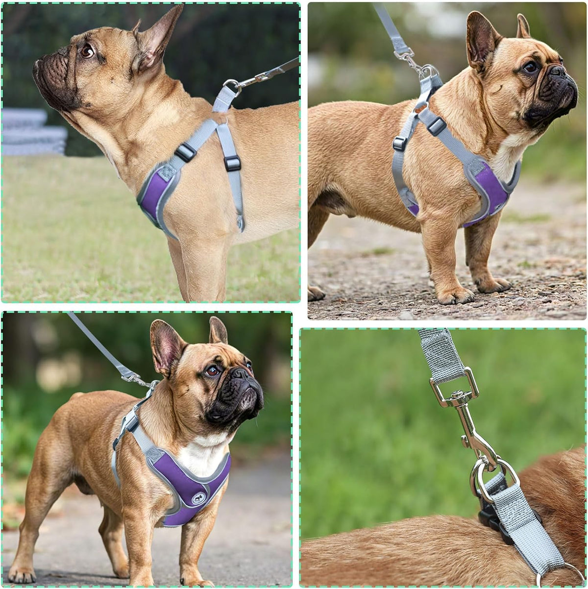 Dog Harness with Leash Set, No Pull Adjustable Step in Pet Vest – Essentials for Dogs - Purple / L - image 3