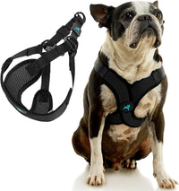 Gooby Comfort X Step-in Lite Harness, Choke-Free - Medium (16-20") / Black - image 2