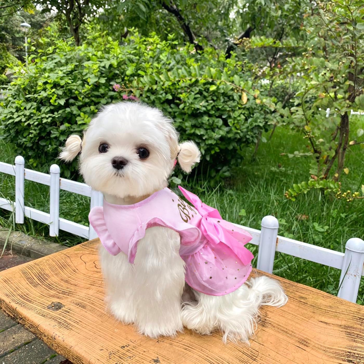 Dog Birthday Dress Tulle with Big Bowknot Princess Dog Cat Birthday - XX-Large - image 3