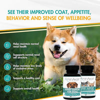 AminAvast Small Dogs & Cat Kidney Support - Promotes Healthy Kidney Support in Cats & Small Dogs - 300mg, 60 Capsule