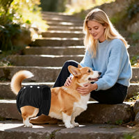 Washable Reusable Female Dog Diapers Small Medium Large Doggie Puppy - Black / X-Large / 5 - image 2