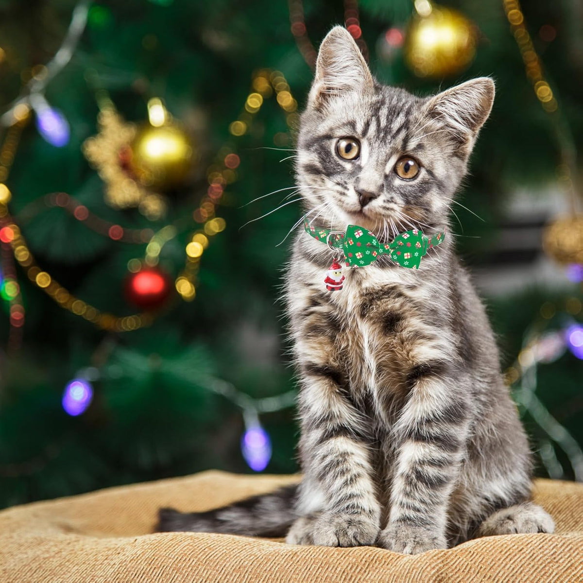 PUPTECK Halloween Cat Collar Breakaway with Bells, Kitten Outfit – Essentials for Cats - Red&Green&Blue / NECK (7.87"-11.8") - image 3