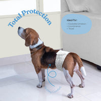 Comfortable Male Dog Diapers, FlashDry Gel Technology - 12 Pack / Medium - image 2