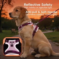 Dog Harness and Leash Set with Collar - Pink / XL(Neck:25.2-35.4",Chest:32.3-44.1") - image 4