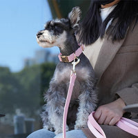 PET ARTIST Soft PU Leather Dog Collar, Bright & Classic Pink Dog Collar with Quick Release Rose Metal Buckle, Adjustable Nylon Padded Durable Pet Collars for Small Dogs Girl, Neck Fit 9-14"