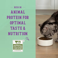 Open Farm Goodbowl, Protein Rich Dry Cat Food Made from Meticulously Sourced Simple Ingredients, Harvest Chicken & Brown Rice Recipe, 7lb Bag (112oz Bag)