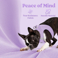 rabbitgoo Step-in Small Dog Harness - Light Purple / Xxxs(chest:10.8"-11.8") - image 4