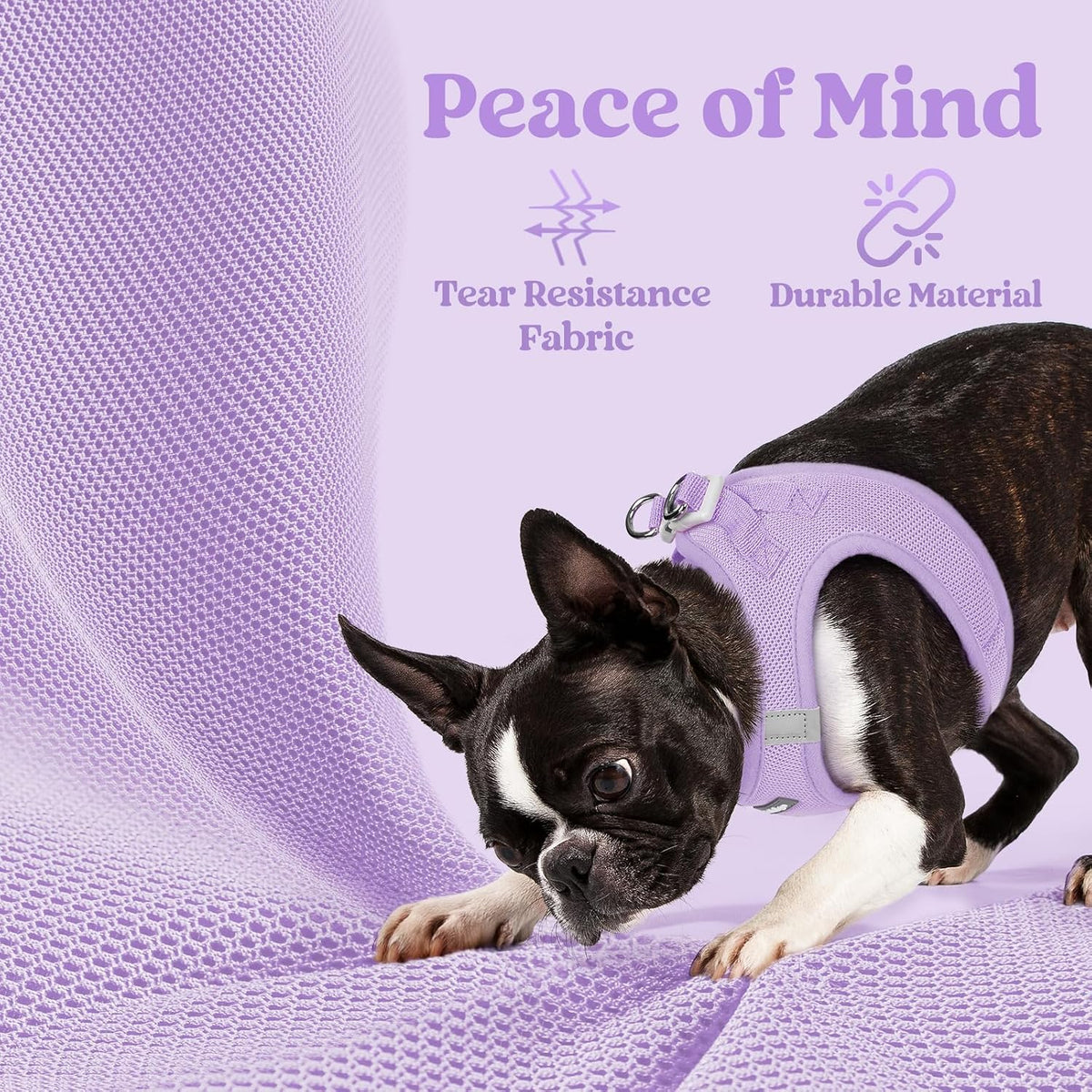 rabbitgoo Step-in Small Dog Harness - Light Purple / Xxxs(chest:10.8"-11.8") - image 4
