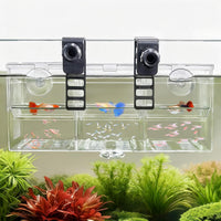 Triple-Chamber Fish Breeder Box for Fish Tank, Guppy Fry Nursery – Essentials for Fish - Triple-Chamber (10.23*3.62*4.33 IN)