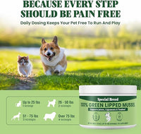 Green Lipped Mussel Powder for Dogs & Cats - 100% New Zealand Green Lipped Mussels - Natural Hip & Joint Supplement for Joints, Tendons, Ligaments, Muscles - 50 Grams - Up to 166 Servings