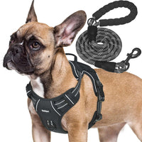 Beebiepet Tactical No Pull Dog Harness with Leash - Black / Medium