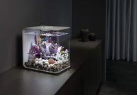 biOrb Marble Pebble Set , Solid and High-Quality Aquarium Decorations, White – Essentials for Fish - image 3