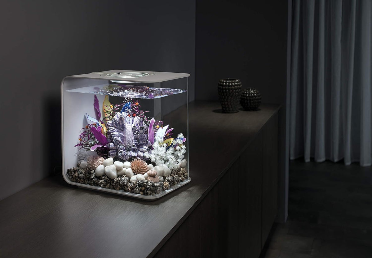 biOrb Marble Pebble Set , Solid and High-Quality Aquarium Decorations, White – Essentials for Fish - image 3