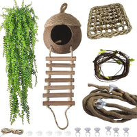 Lizard Coco Den with Ladder - 【Style C】 / 【With Ladder】