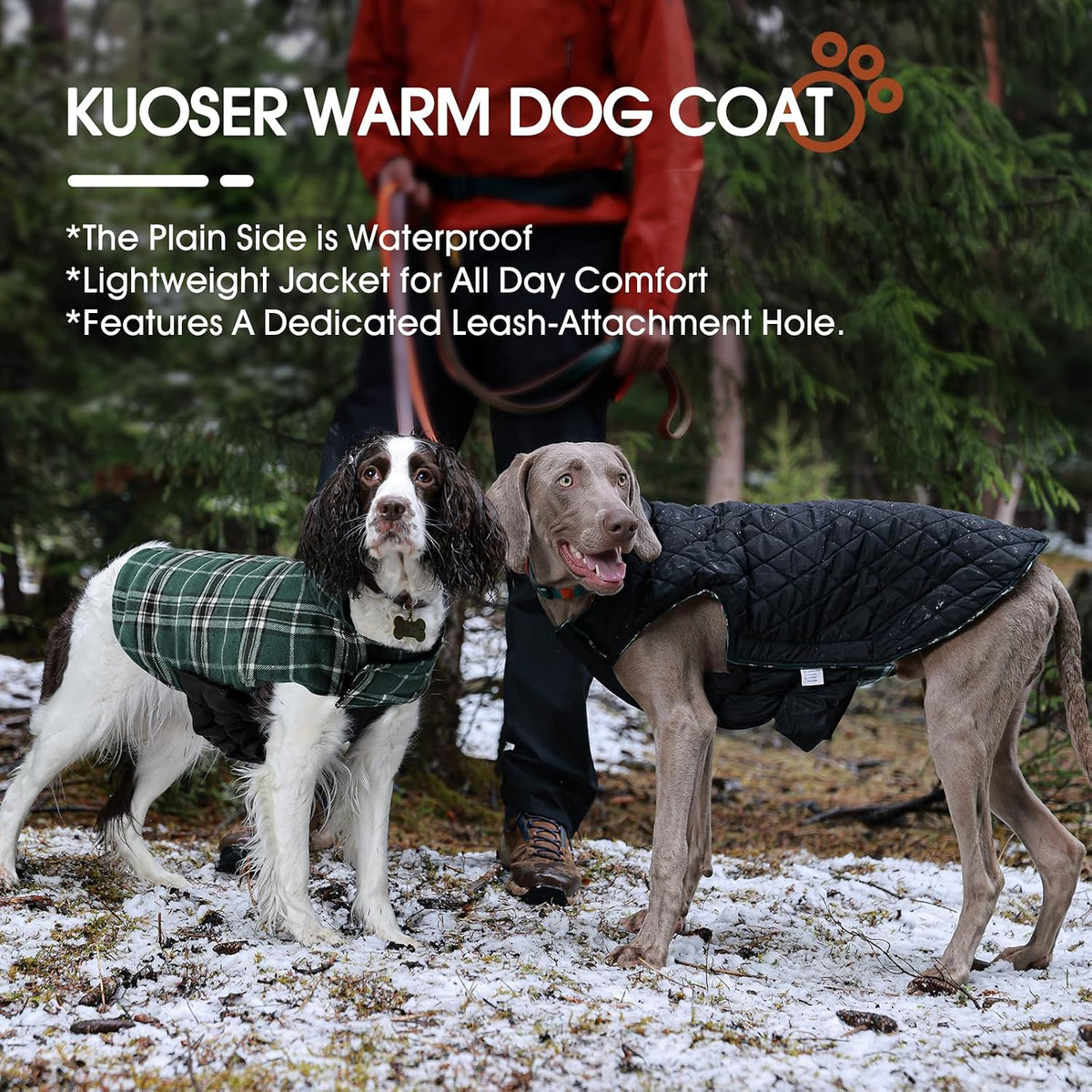 Kuoser Waterproof Dog Coat - Green / Small (Pack of 1) - image 3