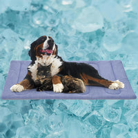 Cooling Mat for Large Dogs, Double-Sided Warming & Cool - XL - 44''x32''