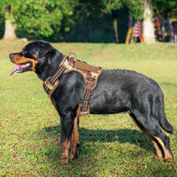 Beebiepet Tactical No Pull Dog Harness with Leash - Desert Camo / Large - image 2