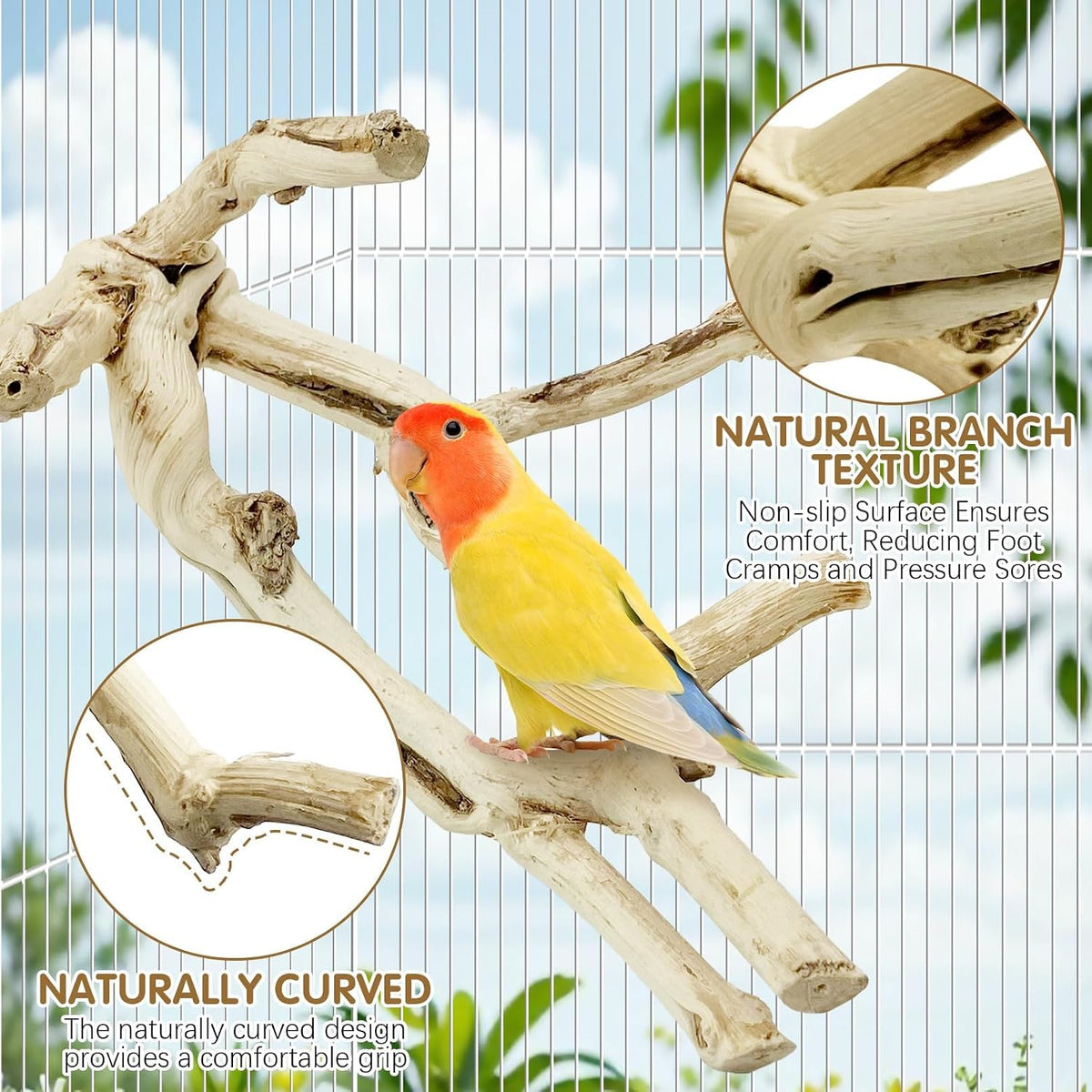 Natural Parrot Perch Bird Stand Pole Wild Grape Stick Paw Grinding - Wood-Finish Grape Stick 1PCS - image 3