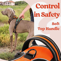rabbitgoo Dog Harness for Large, No Pull Pet Harness with 3 Buckles, Adjustable Soft Padded Vest with Control Handle, Walking Reflective Pet Vest for Large Dogs, Orange, L