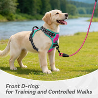 PHOEPET Upgraded No Pull Dog Harness, Reflective Adjustable Vest – Essentials for Dogs - Pink / Large - image 4