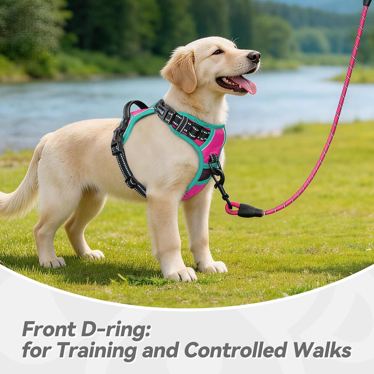 PHOEPET Upgraded No Pull Dog Harness, Reflective Adjustable Vest – Essentials for Dogs - Pink / Large - image 4
