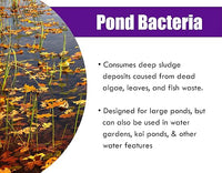 Pondworx Pond Bacteria - Concentrated & Formulated for Large Ponds, Water Features - Safe for Koi - 32ounes & Treats up to a Quarter Acre Pond