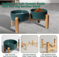 Elevated Ceramic Dog Bowl - Green / Medium - image 3